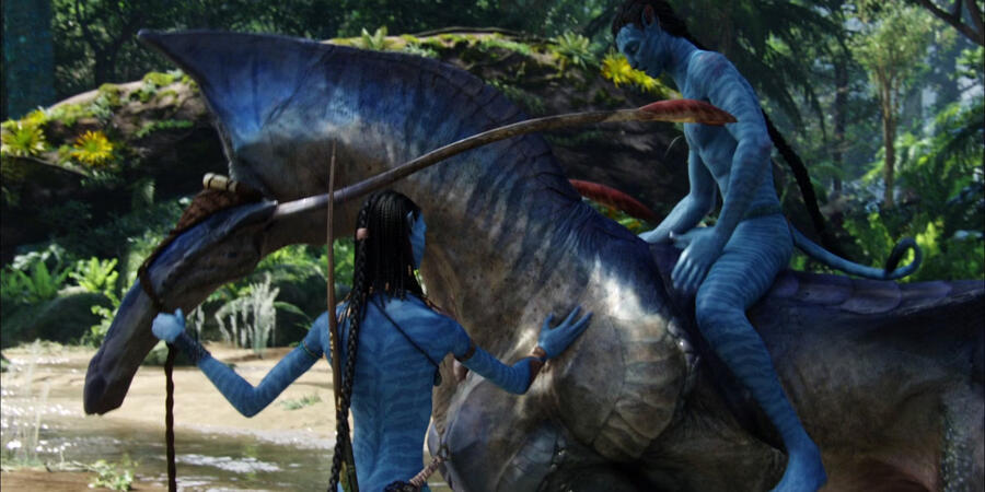 Direhorse (Pa'li)