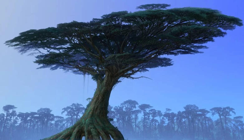 Hometree Concept
